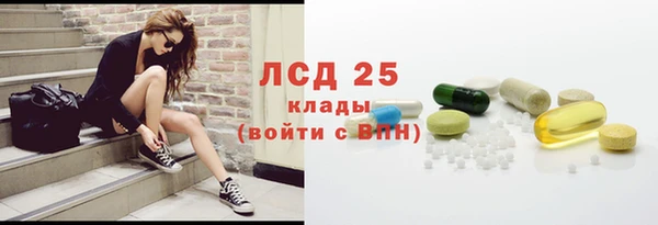 ГАЛЛЮЦИНОГЕННЫЕ ГРИБЫ Абаза