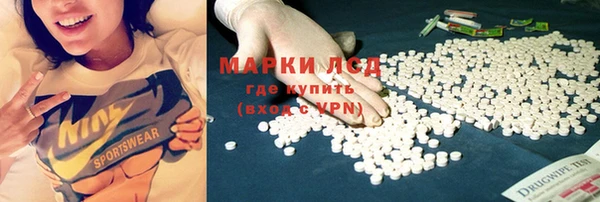 PSILOCYBIN Няндома